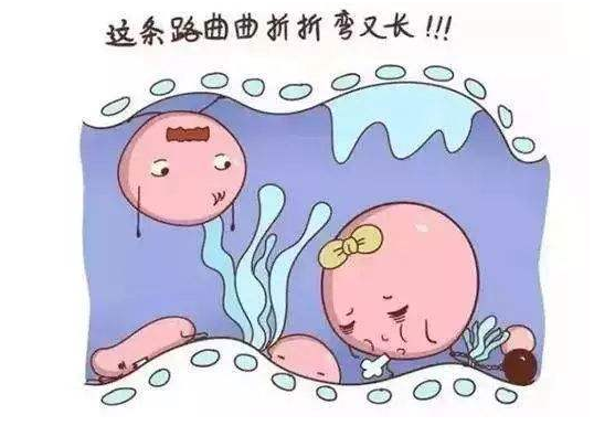 长沙助孕：输卵管积水能直接做试